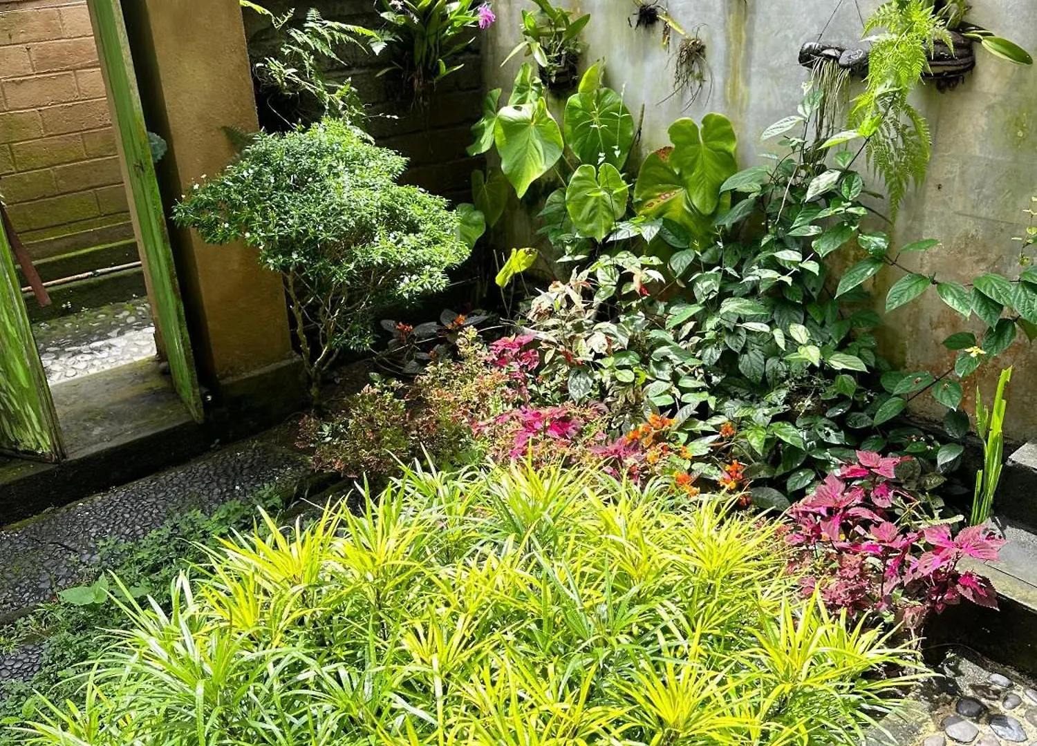Apartment Guesthouse Sayan Ubud